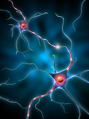 Dopamine et neurones — vanille aphrodisiaque
