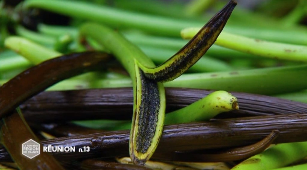 Graines de Vanille Bleue — Escale Bleue La Réunion