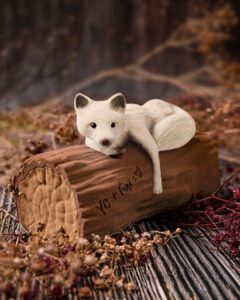 Bûche Isatis – Yann Couvreur Bûche Isatis à la Vanille Bleue par le chef Yann Couvreur