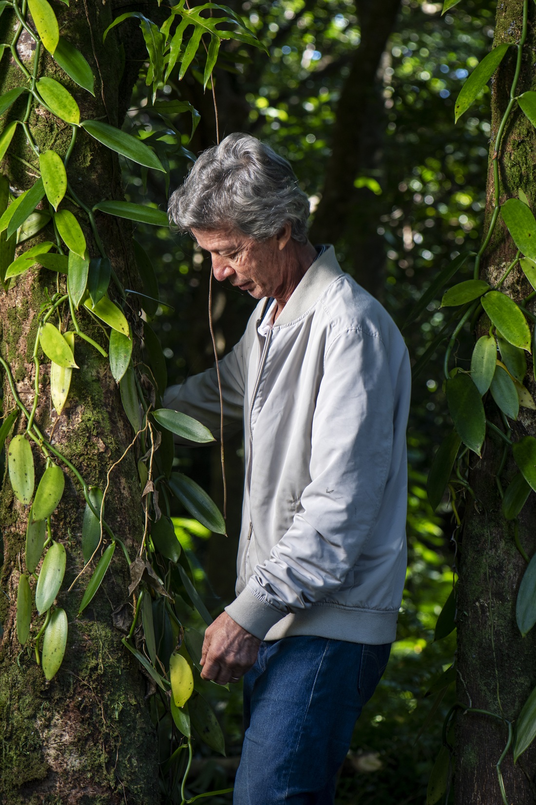 Co-fondateur LEICHNIG Aimé dans une Plantation de vanille – ©Jean Philippe Bouchiat Co-fondateur LEICHNIG Aimé dans une Plantation de vanille - ©Jean Philippe Bouchiat